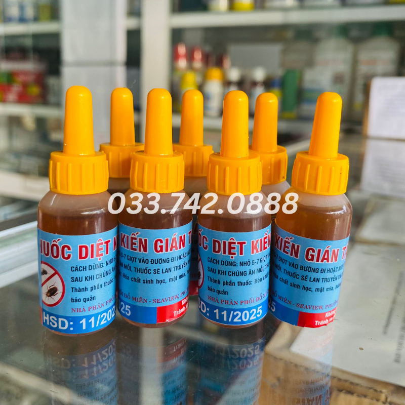 Thuốc diệt kiến gián sinh học - diệt kiến gián tận gốc
