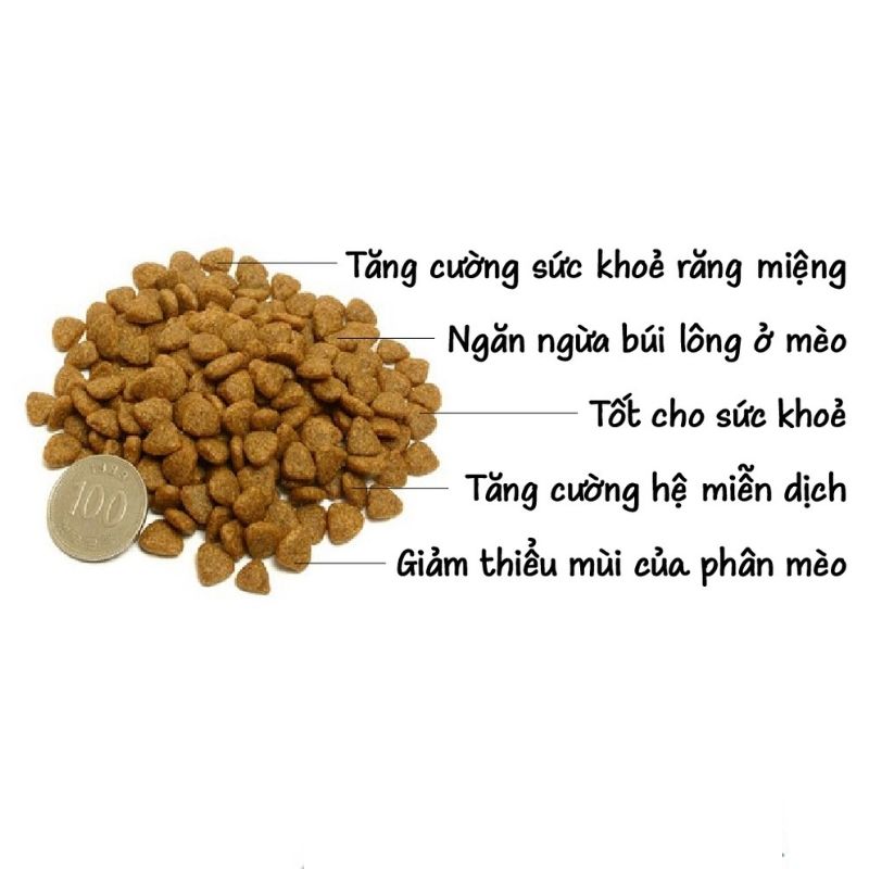 Thức ăn hạt CATSRANG cho mèo mọi lứa tuổi TÚI 1KG