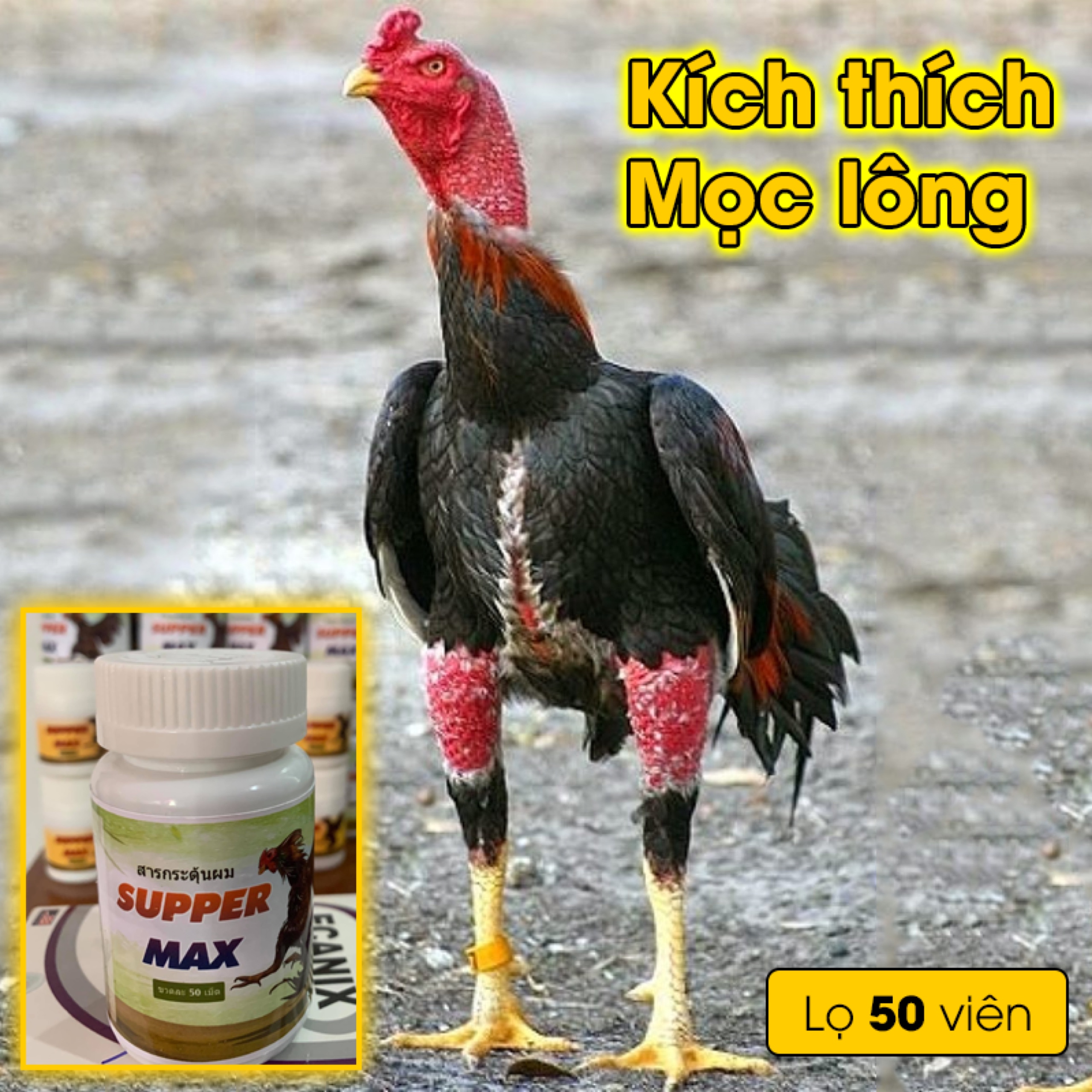 KÍCH LÔNG GÀ ĐÁ hũ 50 viên SUPPER MAX