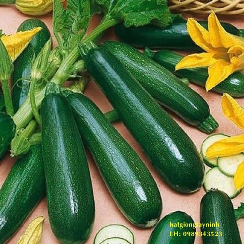 Hạt giống bí ngòi xanh Thái Lan