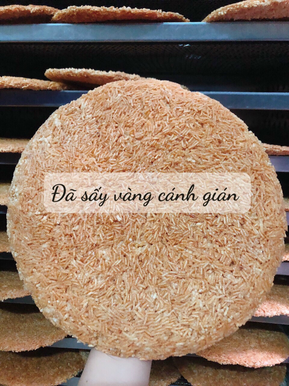 [HCM]Cơm sấy chà bông giòn siêu ngon 500gr