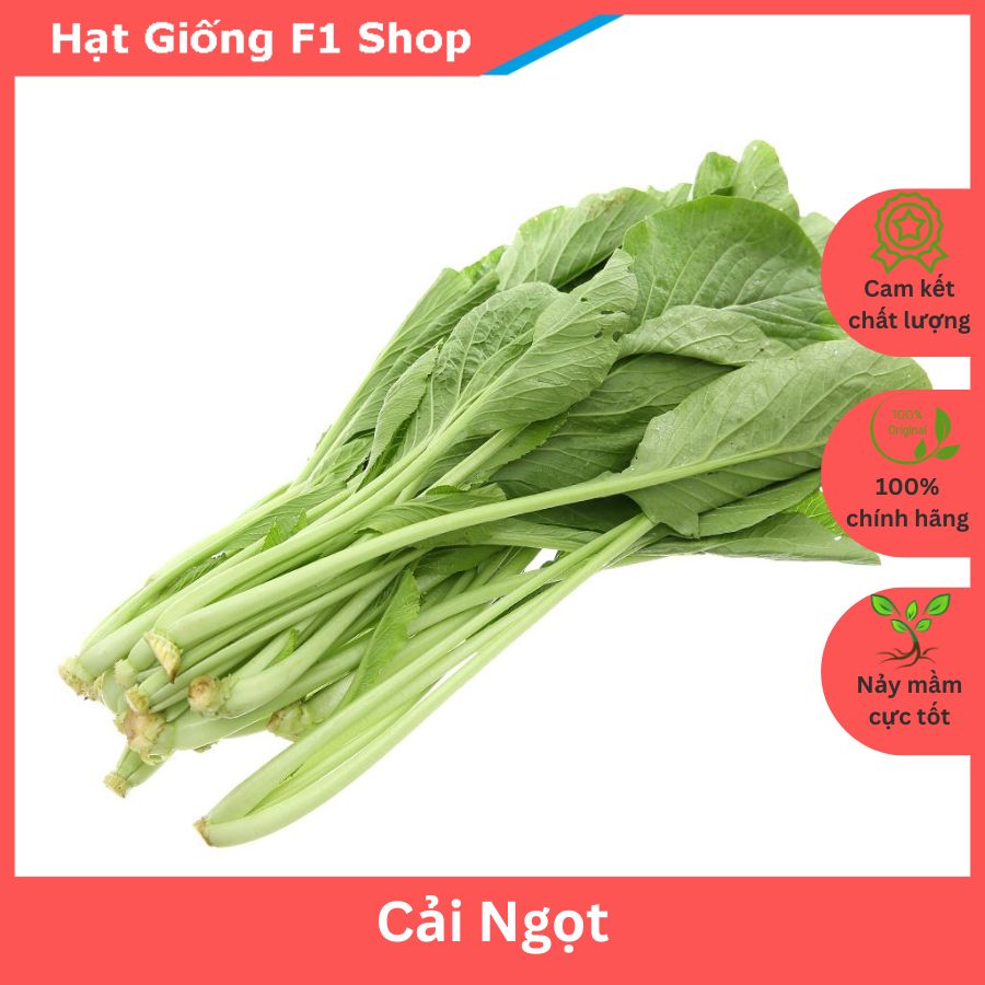 Hạt giống cải ngọt năng suất cao gói 20 gam