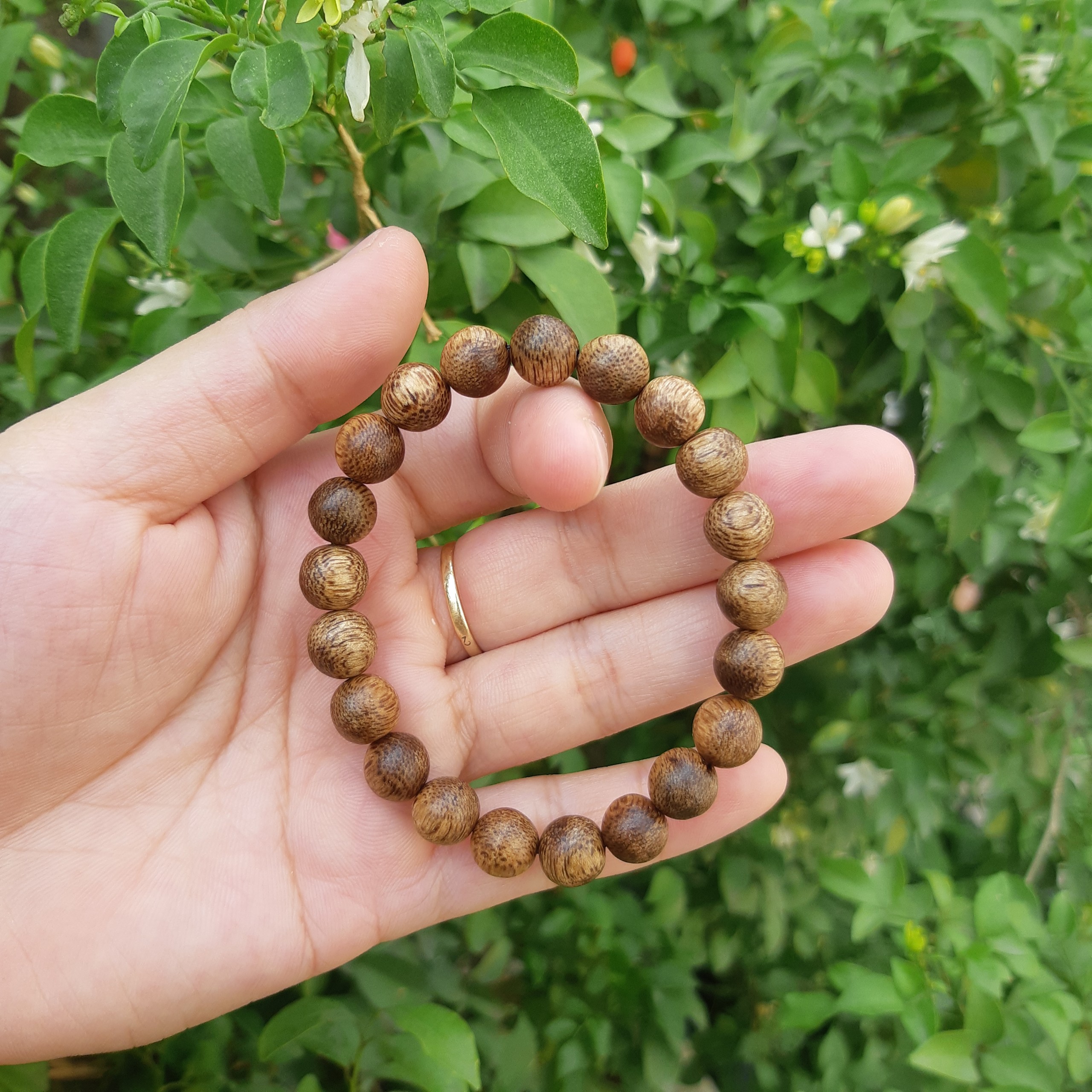 Bracelets agarwood female ring agarwood meaningful feng shui 8LY 21 beads bracelets agarwood for female