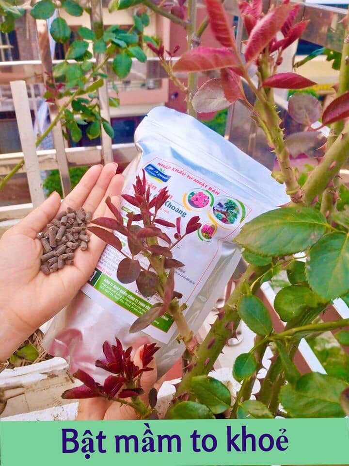 Phân bón hữu cơ khoáng - túi 2kg