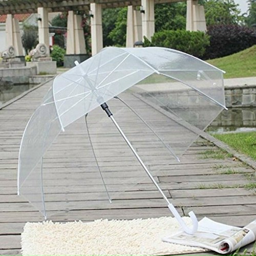 Ô (DÙ) TRONG SUỐT PHONG CÁCH HÀN QUỐC