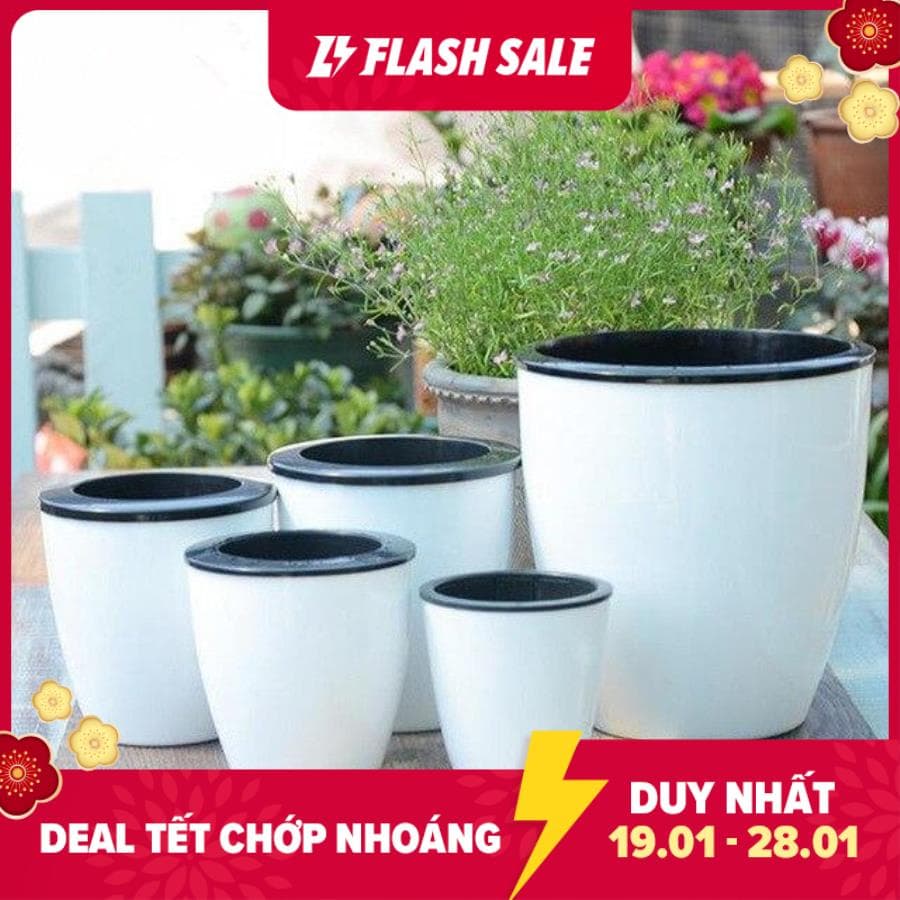 Chậu trồng cây thông minh tự tưới nước - đường kính 13cm