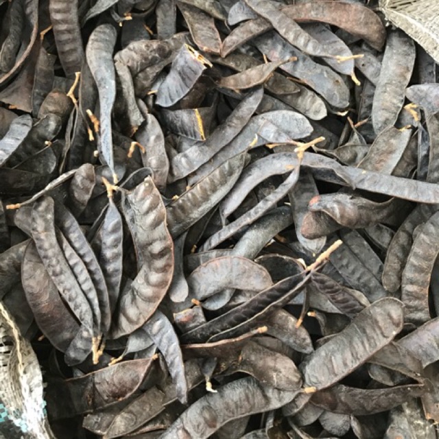 BỒ KẾT, THẢO DƯỢC XÔNG NHÀ