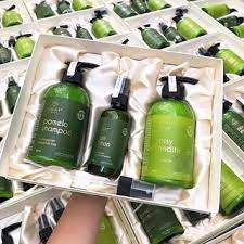 Combo dưỡng tóc - kích mọc tóc Vijully (Dầu gội + Dầu xả dừa + Tinh dầu bưởi) Vi Jully