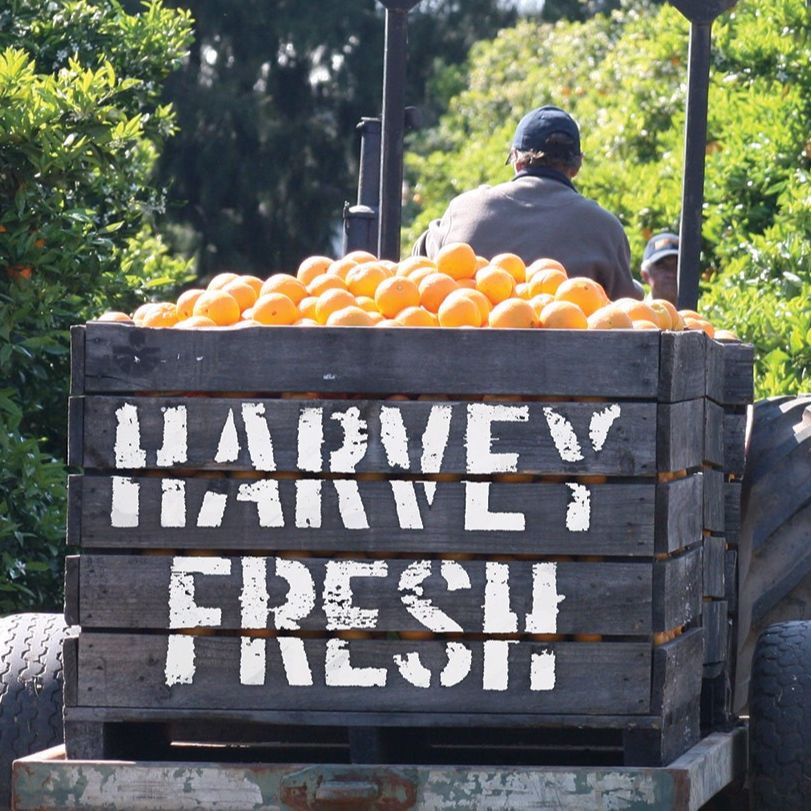 Nước Ép Táo Harvey Fresh 1L - Nhập Khẩu Úc | Harvey Fresh UHT Apple Juice 1L