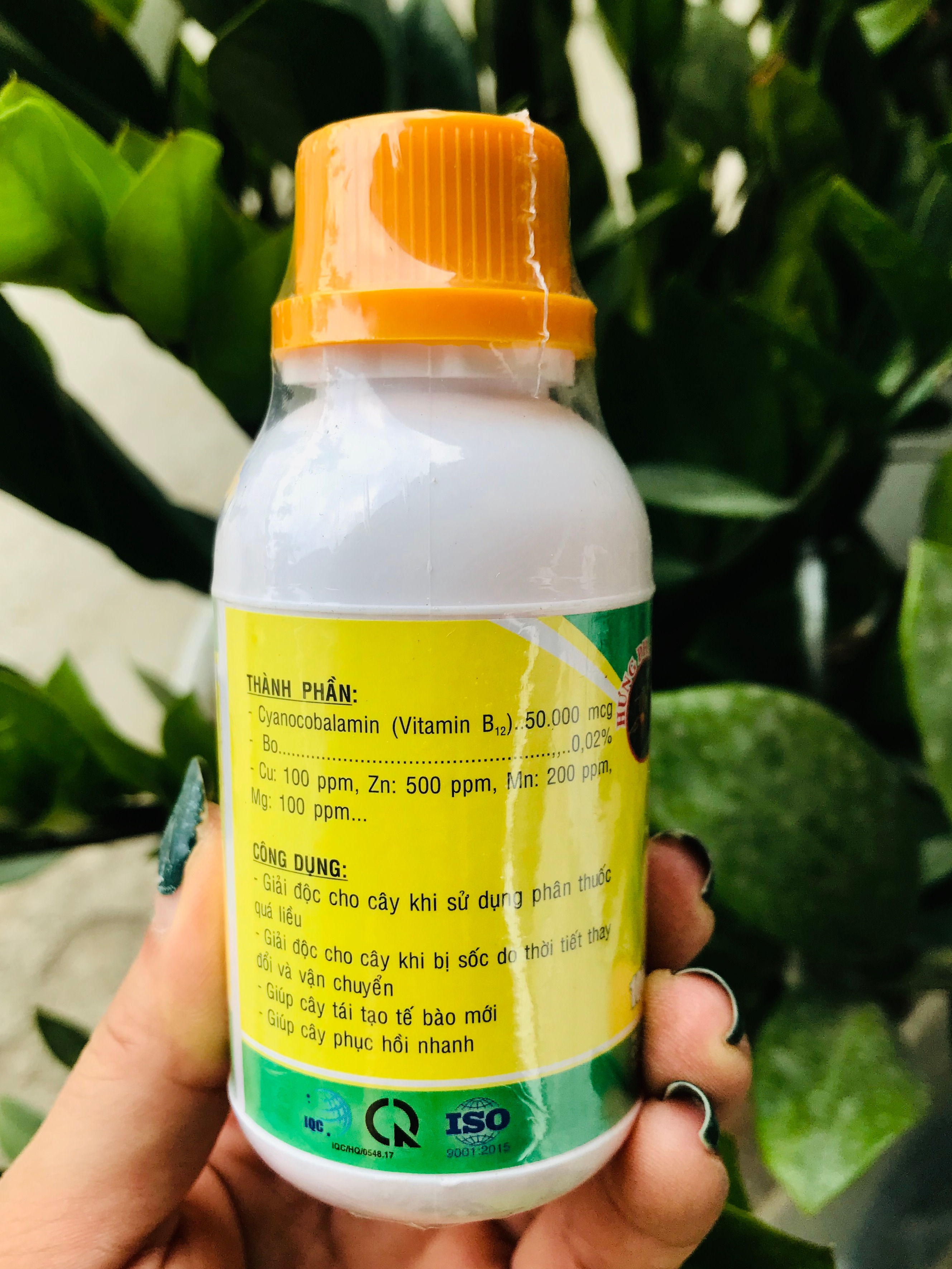 Vitamin B12 Preparation - Detoxifies Plants (100ml)