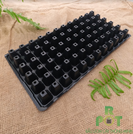 Khay Ươm Hạt Giống 72 Lỗ