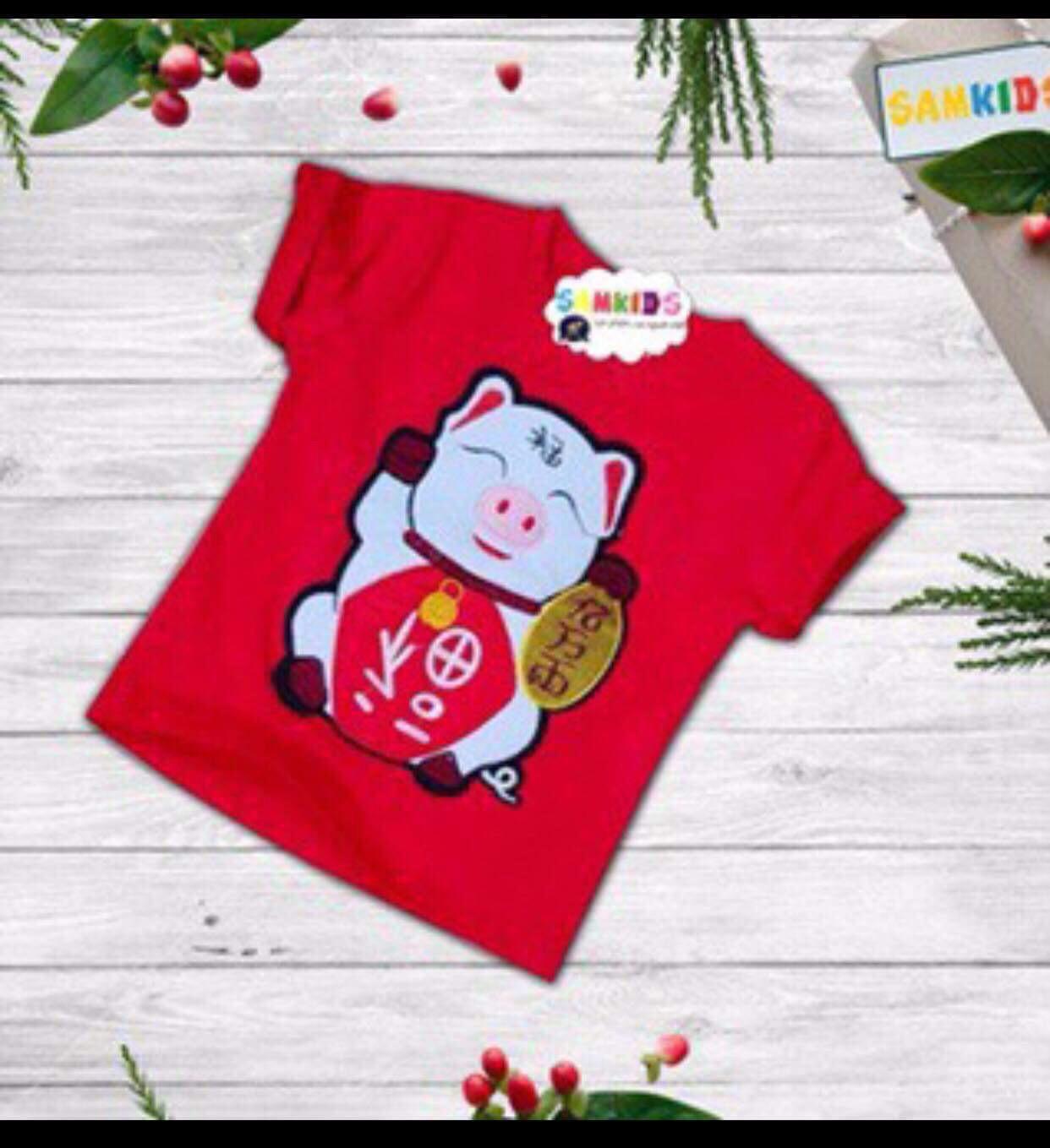 Áo heo may mắn size từ 12-45kg