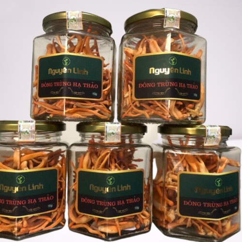 Đông Trùng Hạ Thảo khô 10g