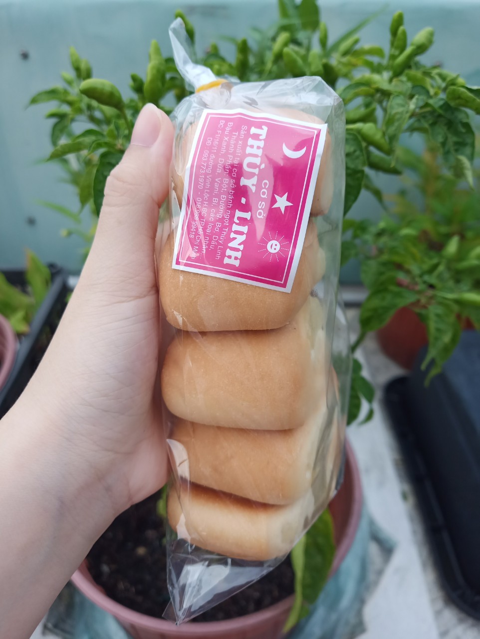 BÁNH SÒ DỪA_COMBO 5 CÂY