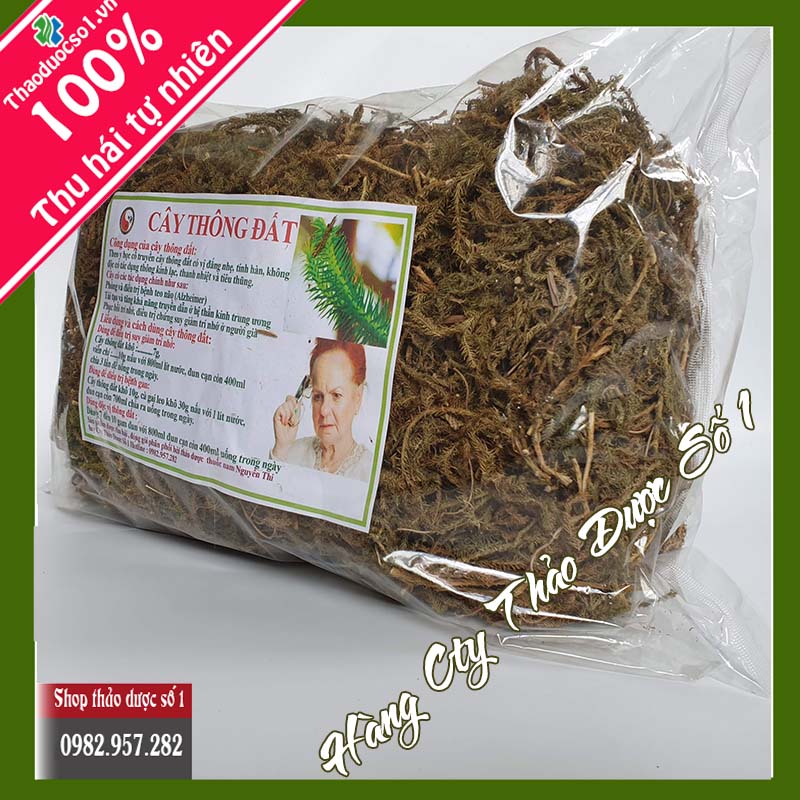 1kg cây thông đất SO1