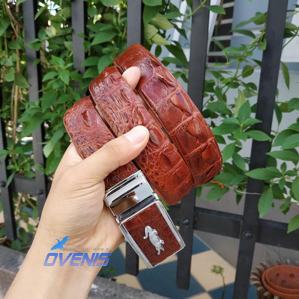 [FREE SHIP] Nịt Nam Da Cá Sấu [DÂY LIỀN CAO CẤP] Da Cá Sấu Thật Rất Sang Trọng