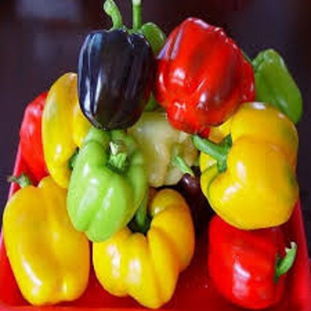Hạt Giống Ớt Chuông Ngọt --Gói 30 hạt
