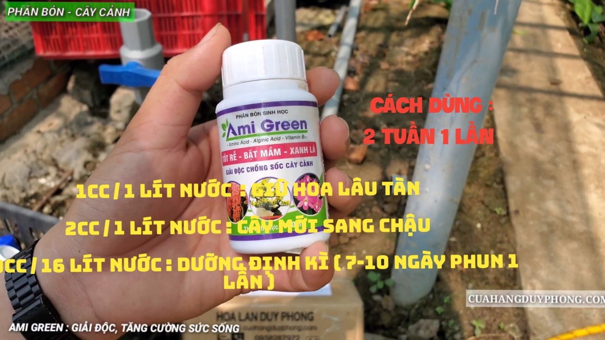 [Có video hướng dẫn] Bộ 5 lọ kích rễ, mập thân, dưỡng lan