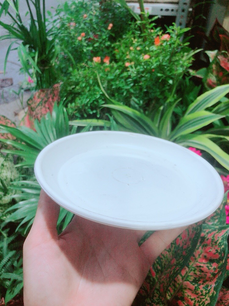 Đĩa Lót Chậu (đường kính 17cm)
