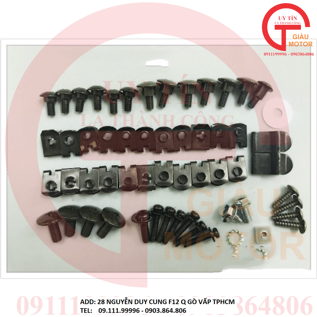 BỘ ỐC DÀN ÁO XE HONDA WAVE S110