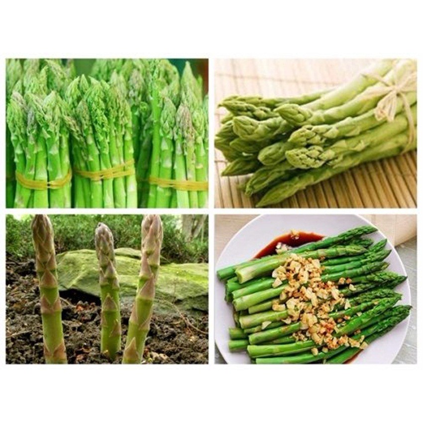 Hạt Măng Tây - Gói 10 Hạt