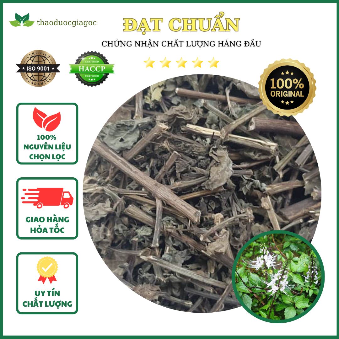 1kg cây râu mèo khô hàng loại 1.