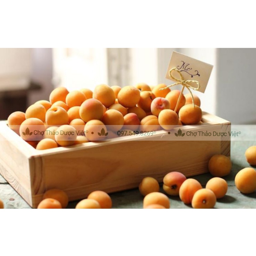 Ô mai mơ xào - Chợ Thảo Dược Việt
