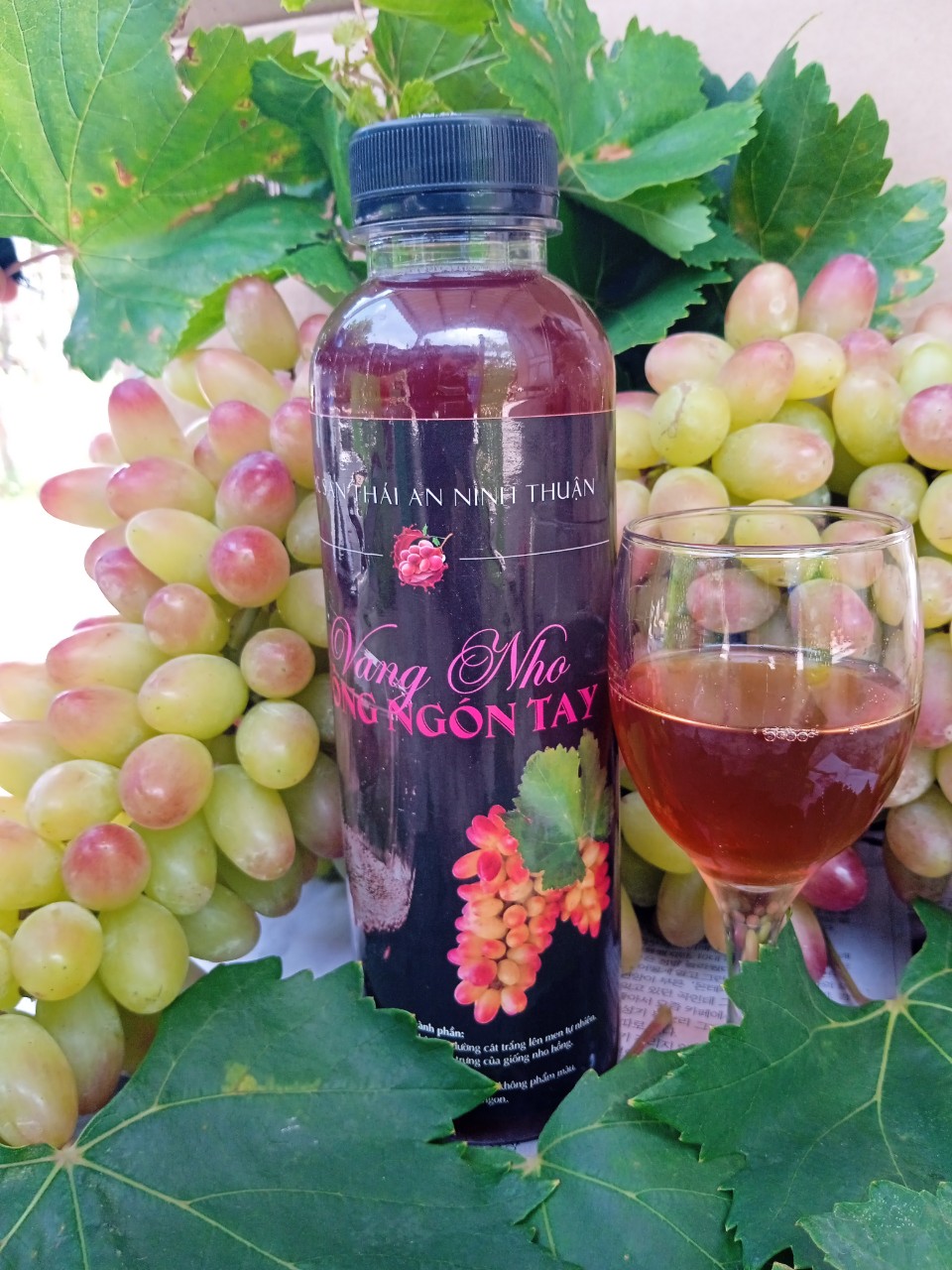 Nước Nho Hồng Nhật Lên Men (Vang Nho Hồng Nhật) 500ml & 750ml