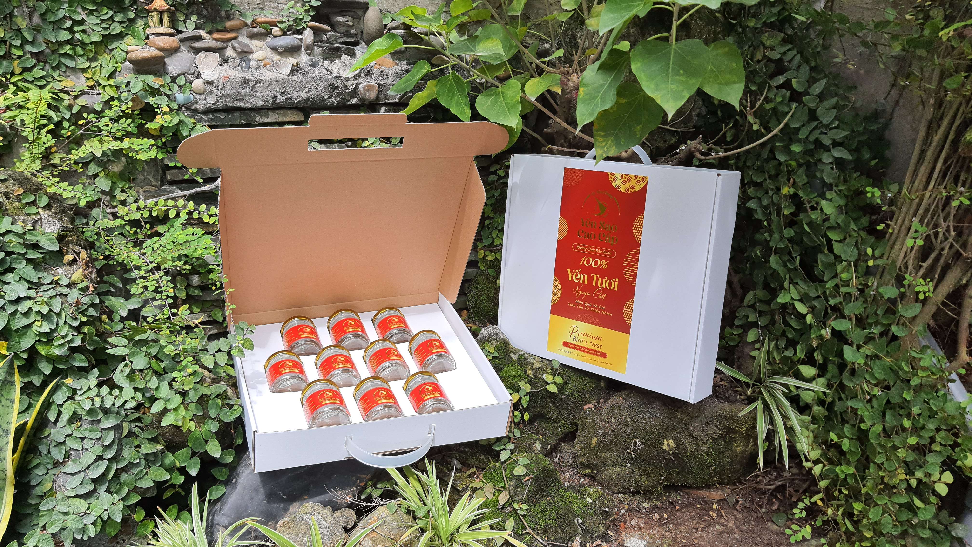Combo 5 Hộp giấy cao cấp đựng 10 hủ yến