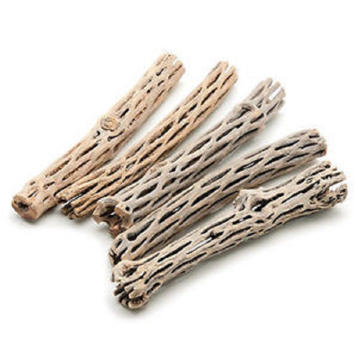 "Hoàn tiền đến 10%" LỦA CHOLLA 15CM TRANG TRÍ HỒ TÔM TÉP CÁ CẢNH