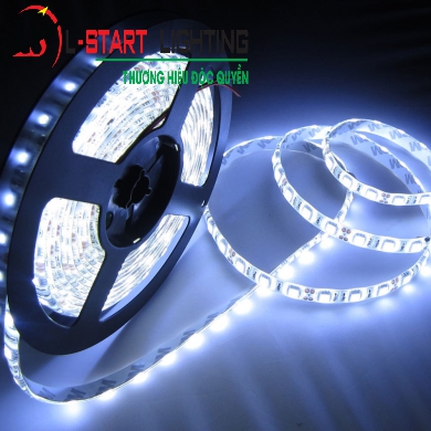 LED DÁN 5M CÓ KEO ĐỦ MÀU