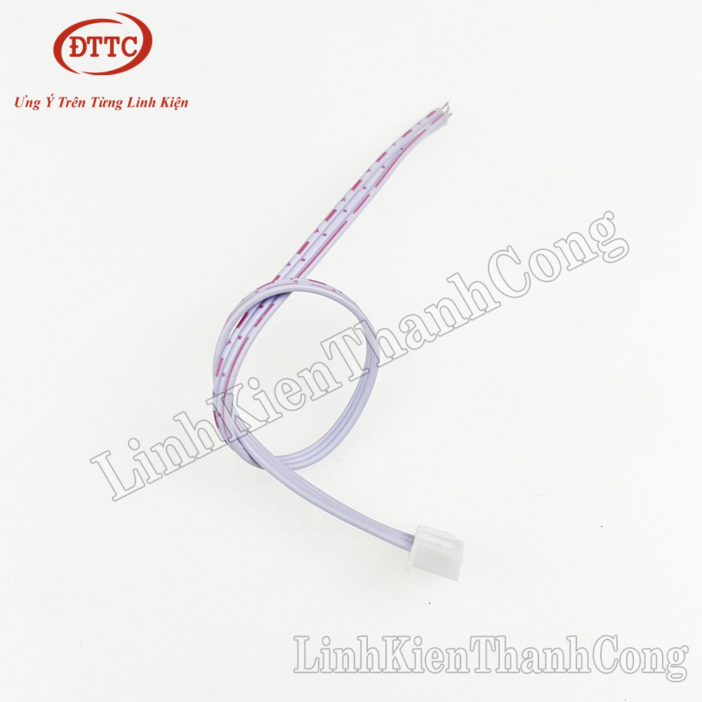 Cáp (Dây Bus) Trắng XH2.54 1 Đầu 20cm 2 Sợi (2P), 3 Sợi (3P)