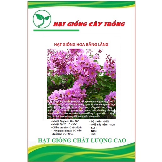 Hạt giống hoa bằng lăng tím - gói 30 hạt -
