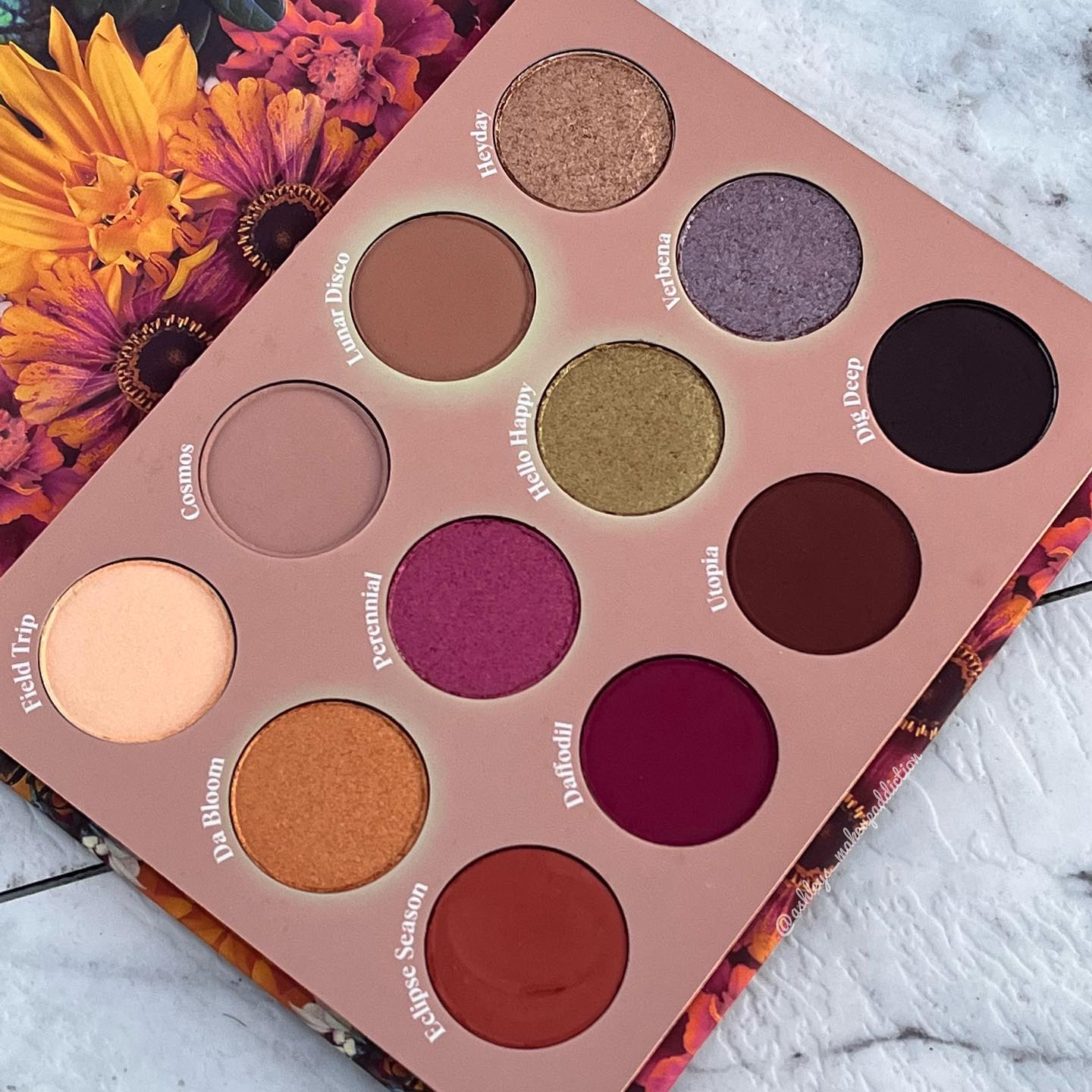 BẢNG PHẤN MẮT 12 Ô MÀU COLOURPOP SONIC BLOOM