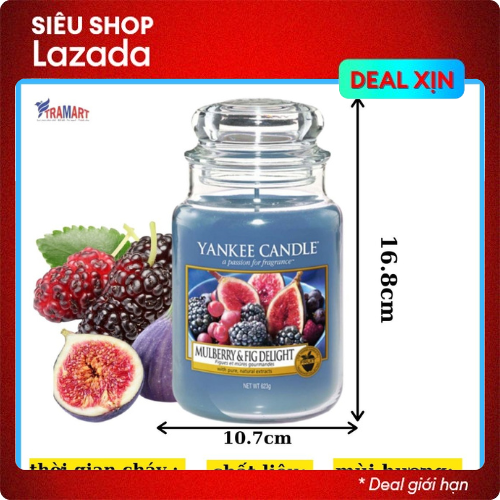 Hũ nến thơm Mulberry & Fig Delight Yankee Candle YAN6498 (Size L 623g)