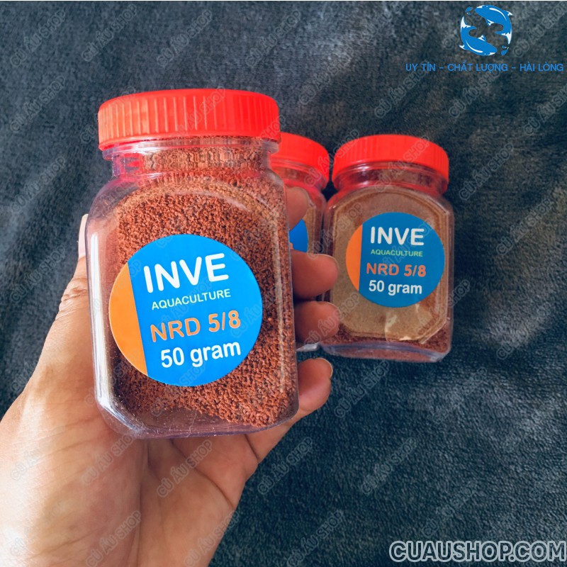 Cám thái inve - thức ăn cho cá tép cảnh
