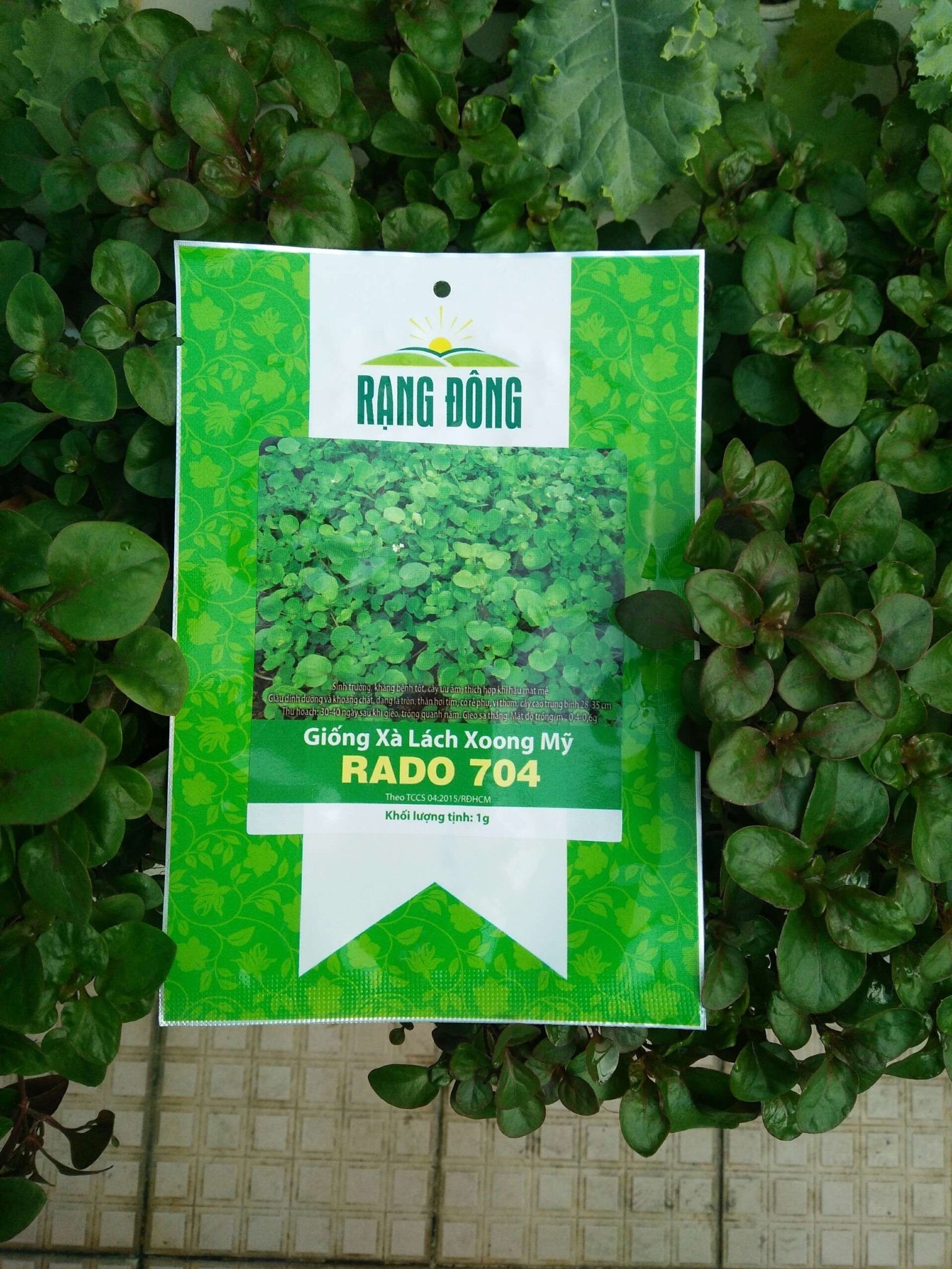 Hạt Giống Xà Lách Xoong Mỹ Gói 1gr - RADO 704