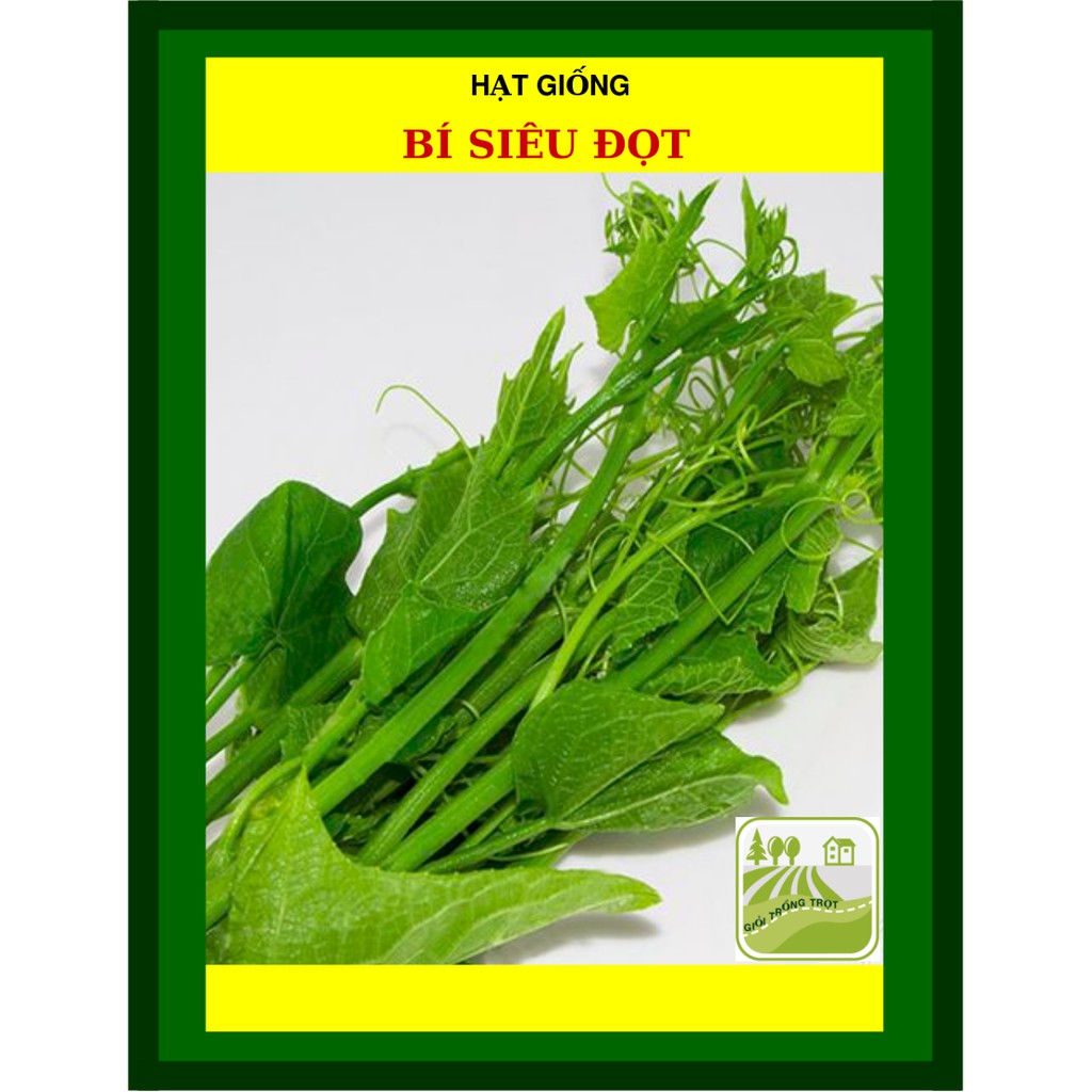10Gram Hạt Giống Bí Siêu Đọt