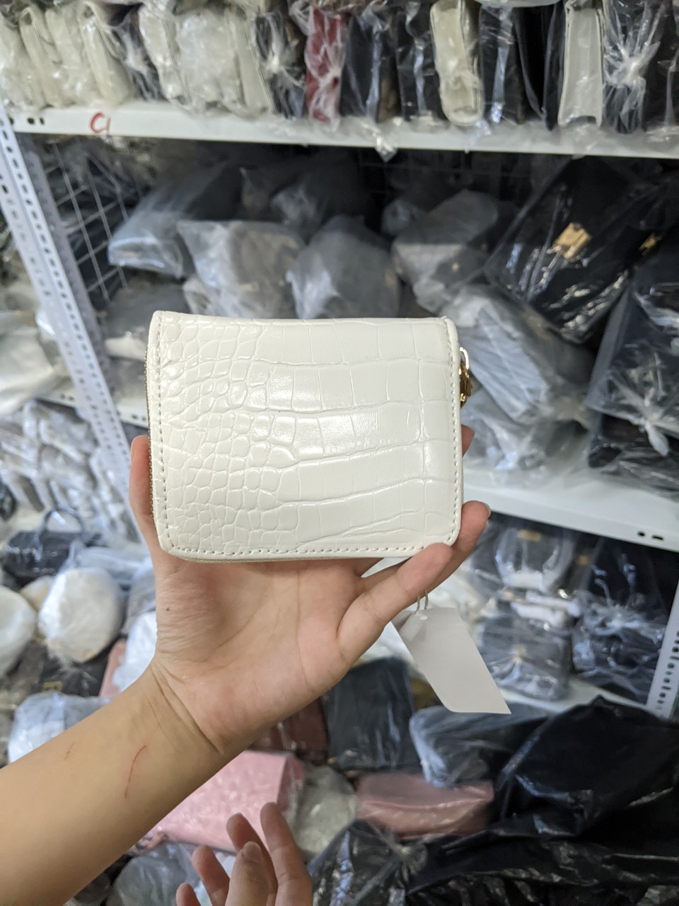 Ví nữ mini CNK vân da rắn khóa kéo size 10-V009
