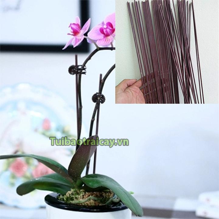 10 Que cắm lan, chống gãy cành lan 80cm
