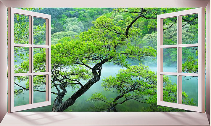Binbin cs 32 3d window murals