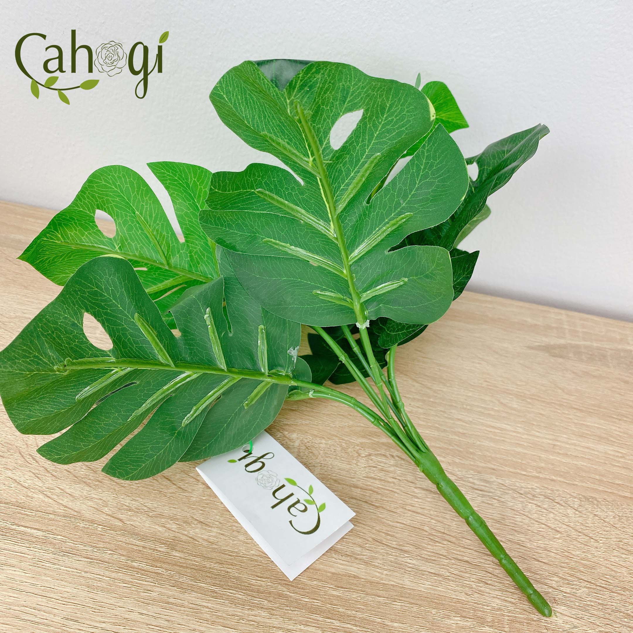 Cây Giả Cây Lá Rùa 30cm