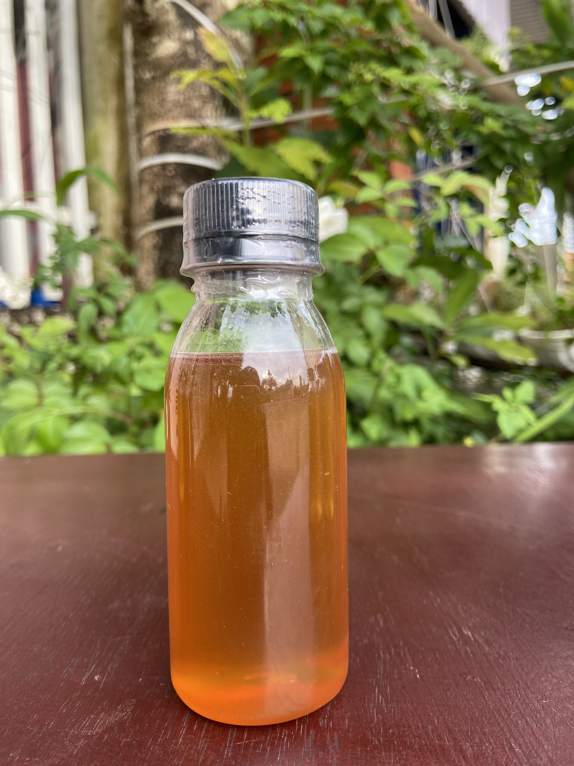 Mật Ong Mini Hoa Nhãn/ Chai 100ml