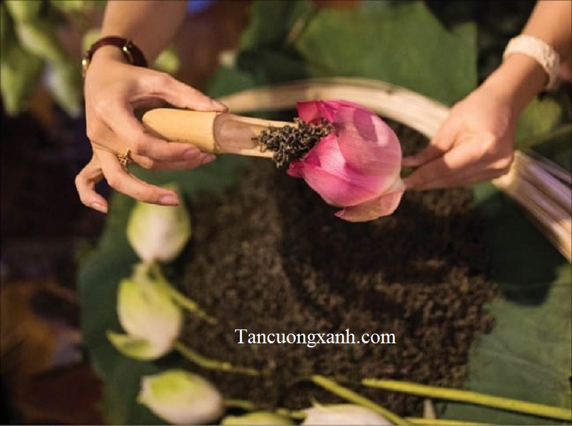 Trà Ướp Bông Sen Tây Hồ 100gram