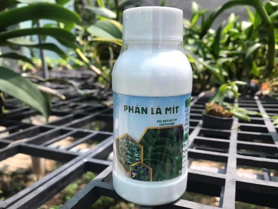 Combo phân lá mít