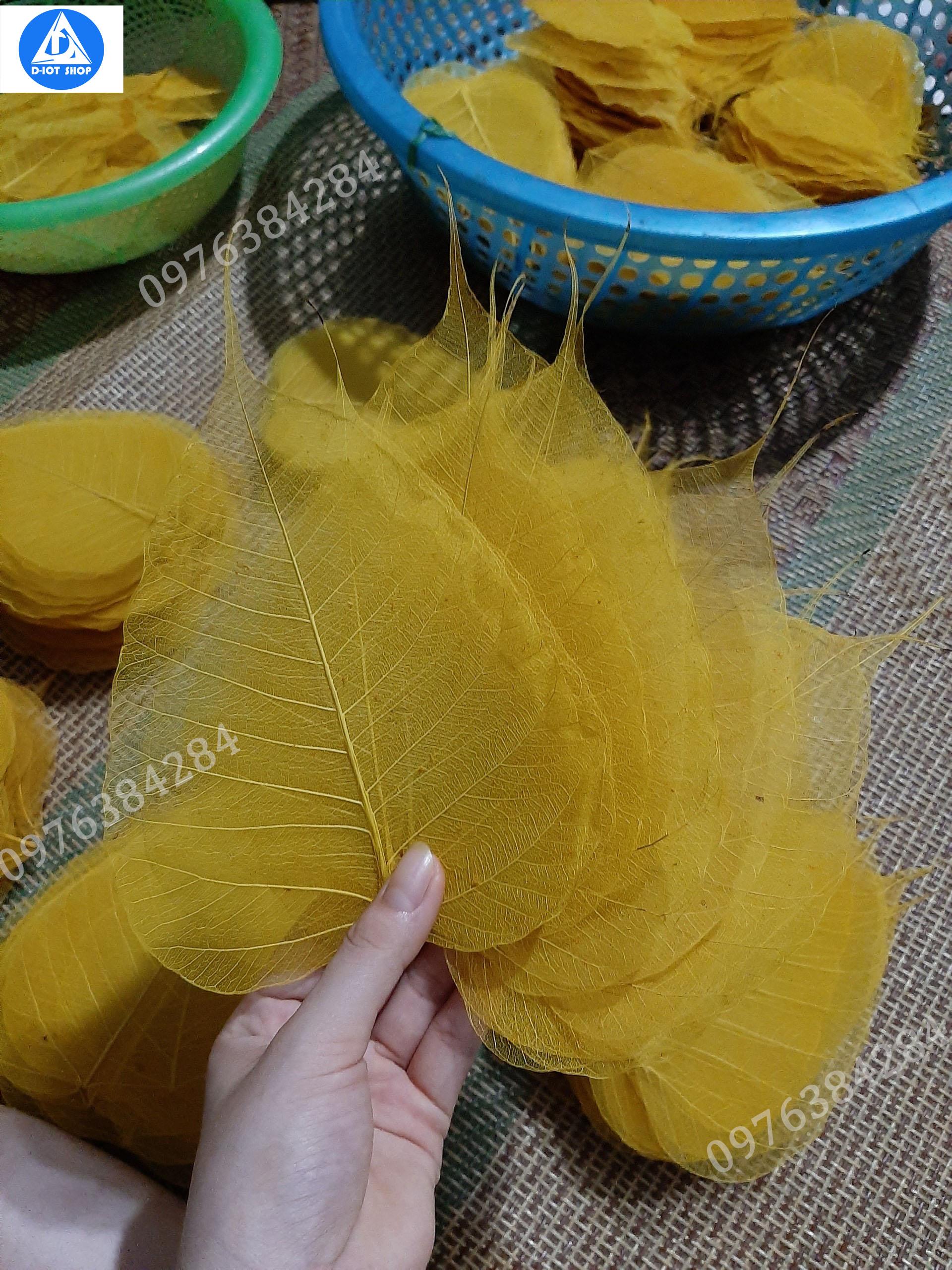 Set 100 lá bồ đề nhuộm vàng to(tặng 5 lá)