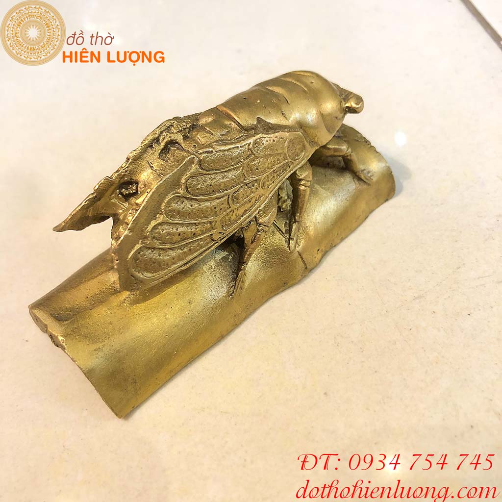 Kim Thiền (Ve Sầu Bằng Đồng)