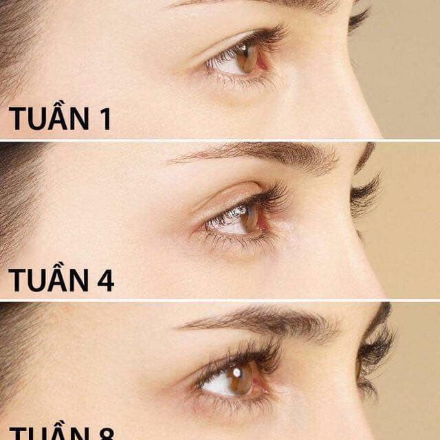 Serum dưỡng mi EVELINE - 8B1 TOTAL ACTION 10ml