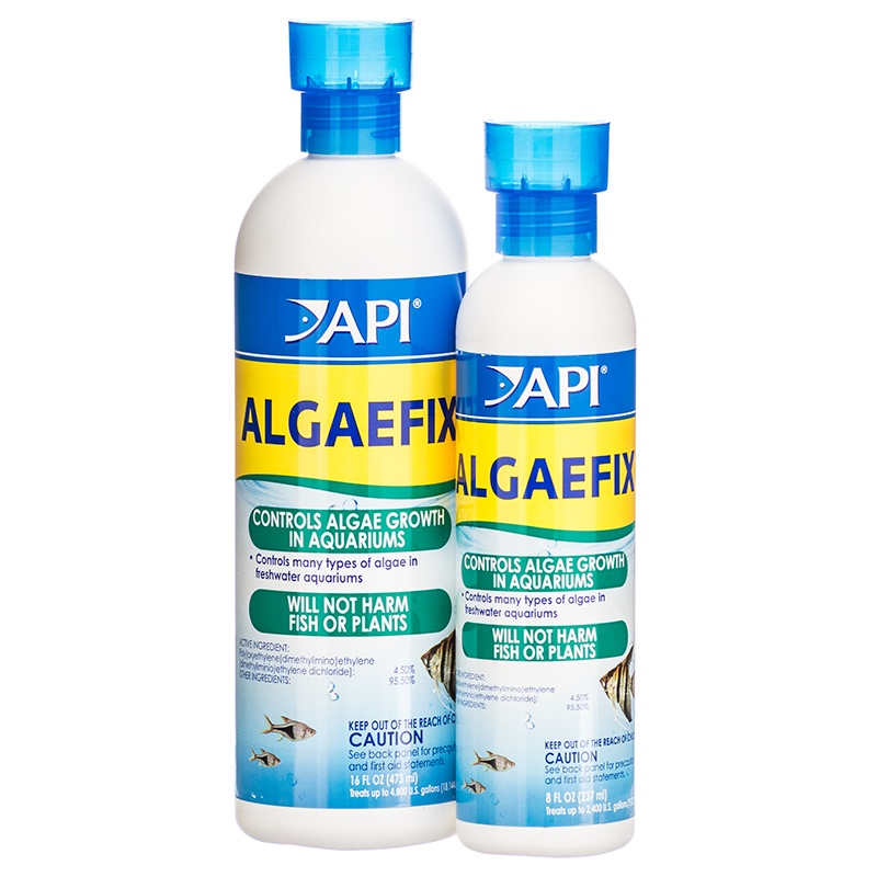 Api Algaefix 237ml - Cấp Tốc Diệt Trừ Rêu Tảo Gây Hại