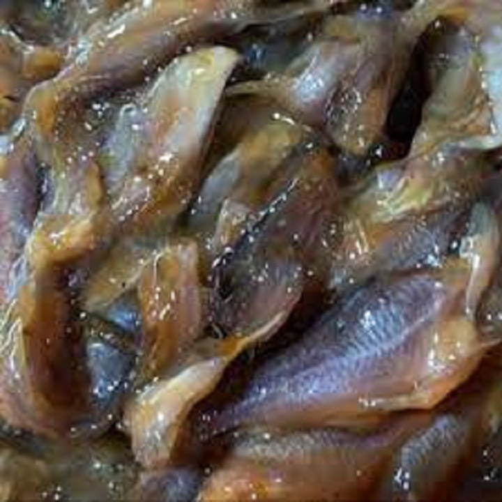 Mắm cá chốt 1kg